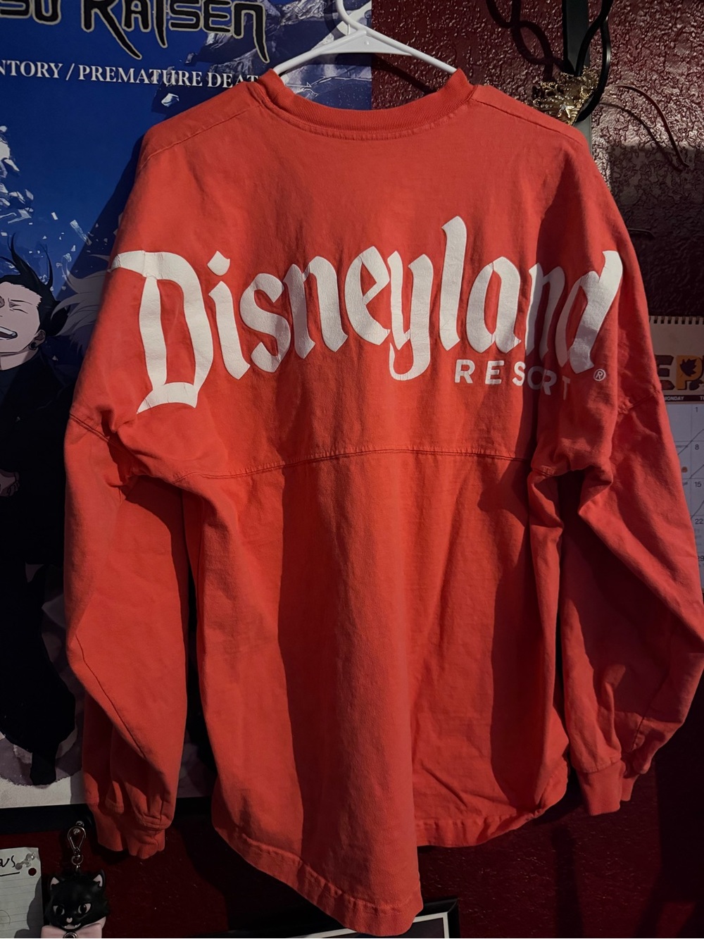 Disney Disneyland Spirit Jersey - Picture 3 of 4